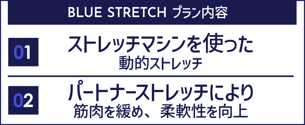 BLUE STRETCH プラン内容